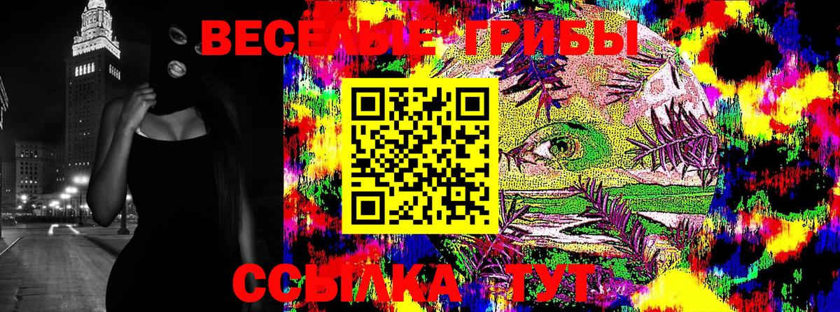 Галлюциногенные грибы GOLDEN TEACHER Чебоксары